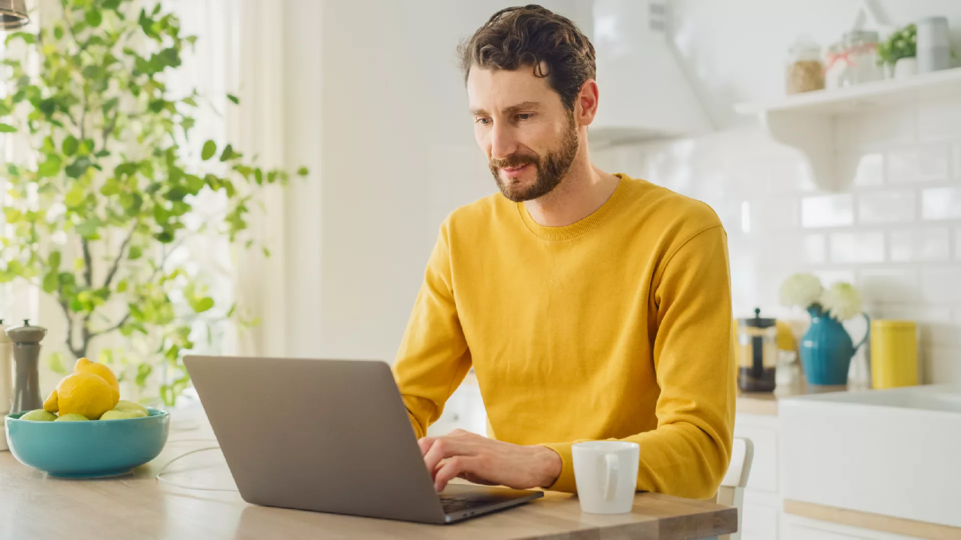 Solicitud 100% en línea