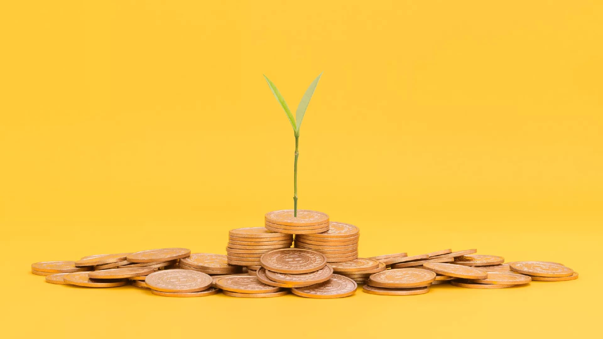 Invertí en tu futuro hoy mismo